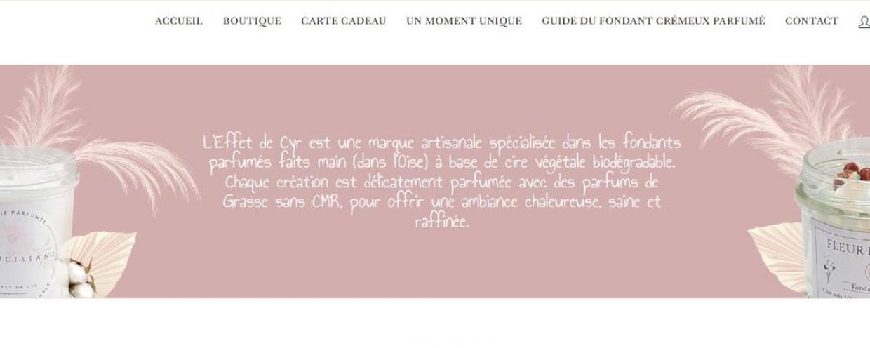 Page d'accueil de la boutique L'Effet de Cyr