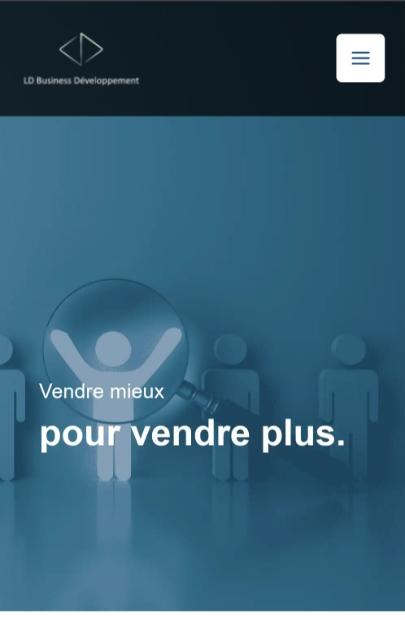 Version mobile du site LD Business Développement